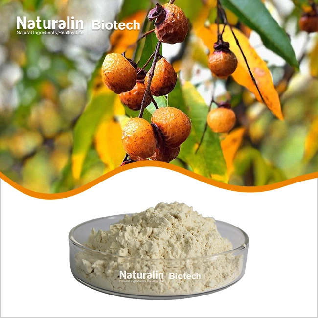 Soapnut Extract Powder